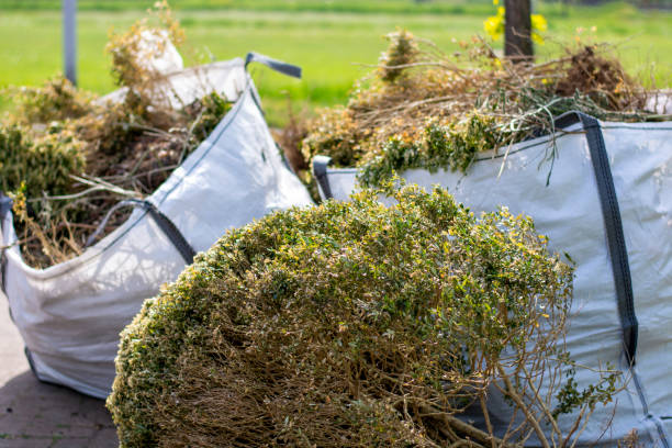 Best Residential Junk Removal  in Dixon, KY